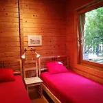 The Wooden Beauty