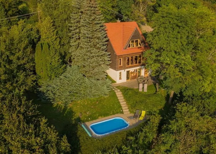 Tatil Evi The Wooden Beauty Zebegény