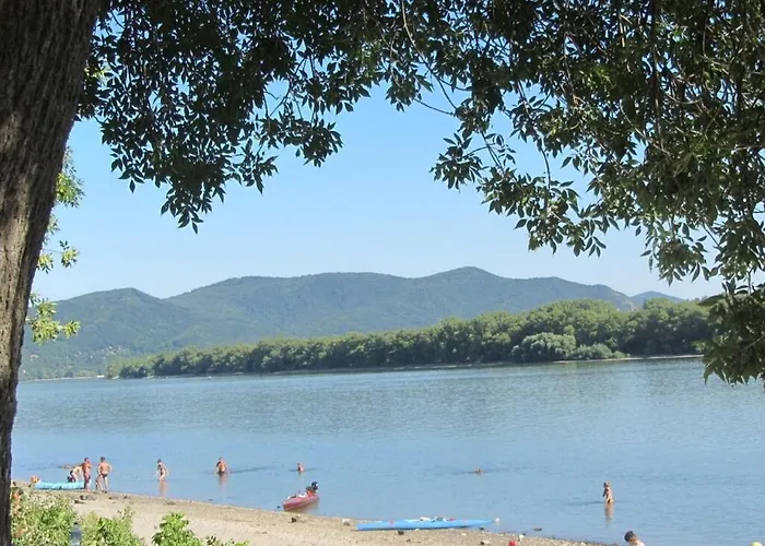 The Wooden Beauty 펜션 *